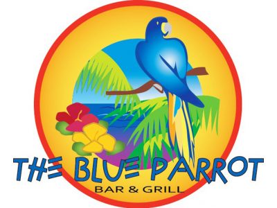blue-parrot-1